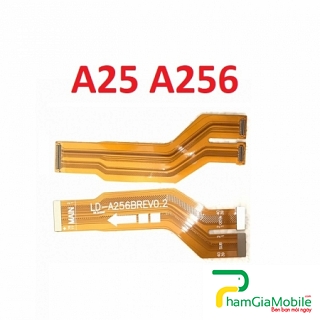 Mạch Dây Sub Sạc Samsung A25 5G A256E Cáp Nối Main Sạc Cáp Nối Bo Mainboard Mạch Chủ